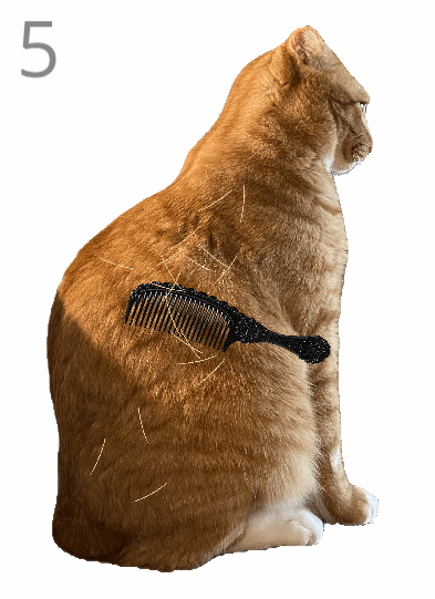 外网给猫梳毛小游戏火了！难度超高 失误就秒哈气！ 