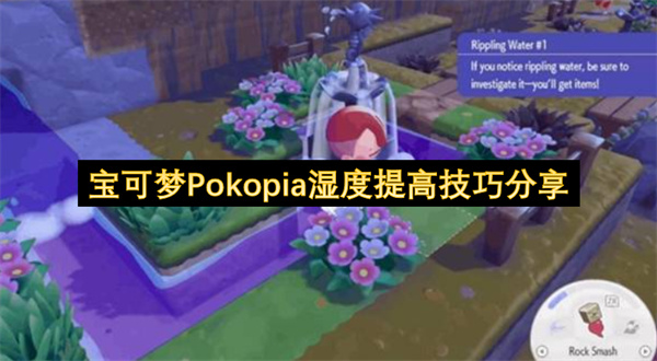 《宝可梦Pokopia》湿度提升全攻略：25种高效方法助你轻松改造环境
