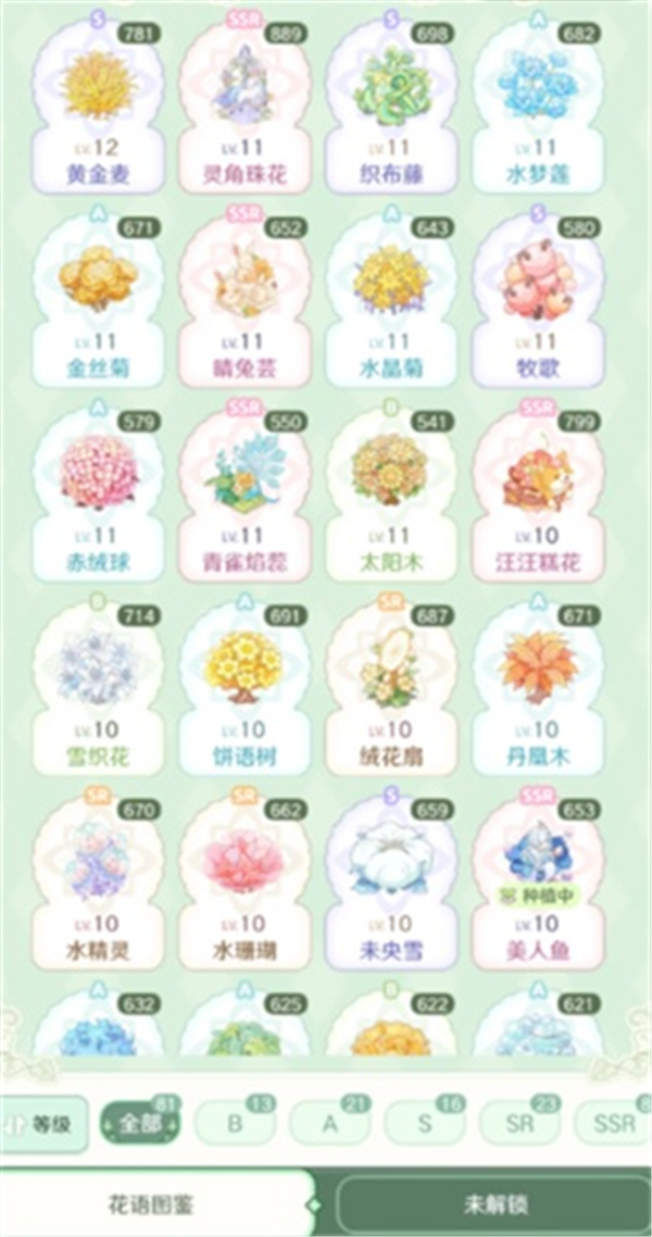 童话师花语与花物都是什么 童话师花语与花物介绍