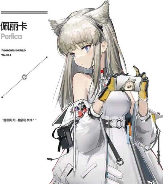 《明日方舟:终末地》佩丽卡配队攻略
