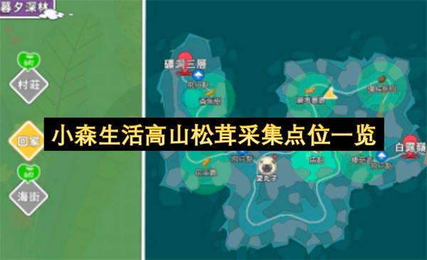 小森生活高山松茸全图采集点位及高效刷取方法详细攻略