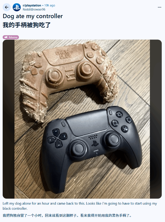 "PS5手柄"竟被狗啃了!网友:真是个馊主意!