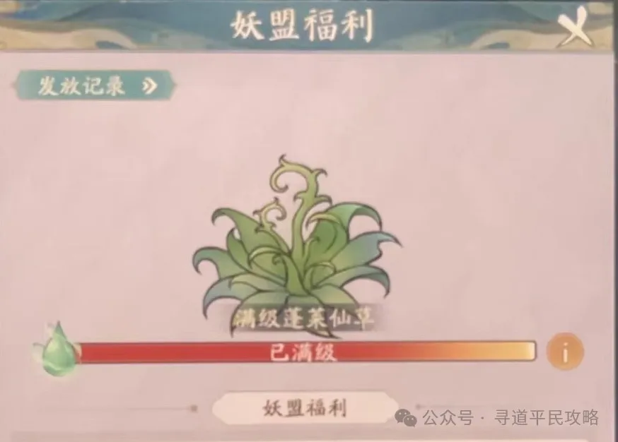 寻道大千蓬莱仙岛活动详情攻略
