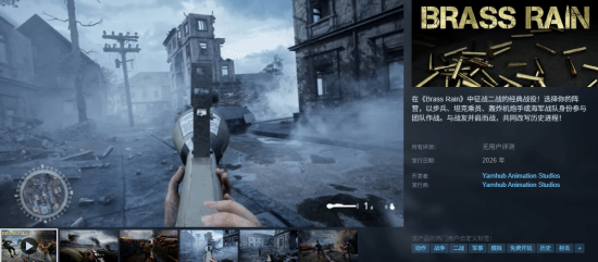 二战模拟FPS新游《BRASS RAIN》预告:震撼视角重现经典战役!